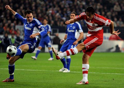 护了自己的 护了自己的